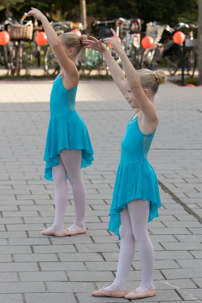 Schoolplein Festival A059.jpg